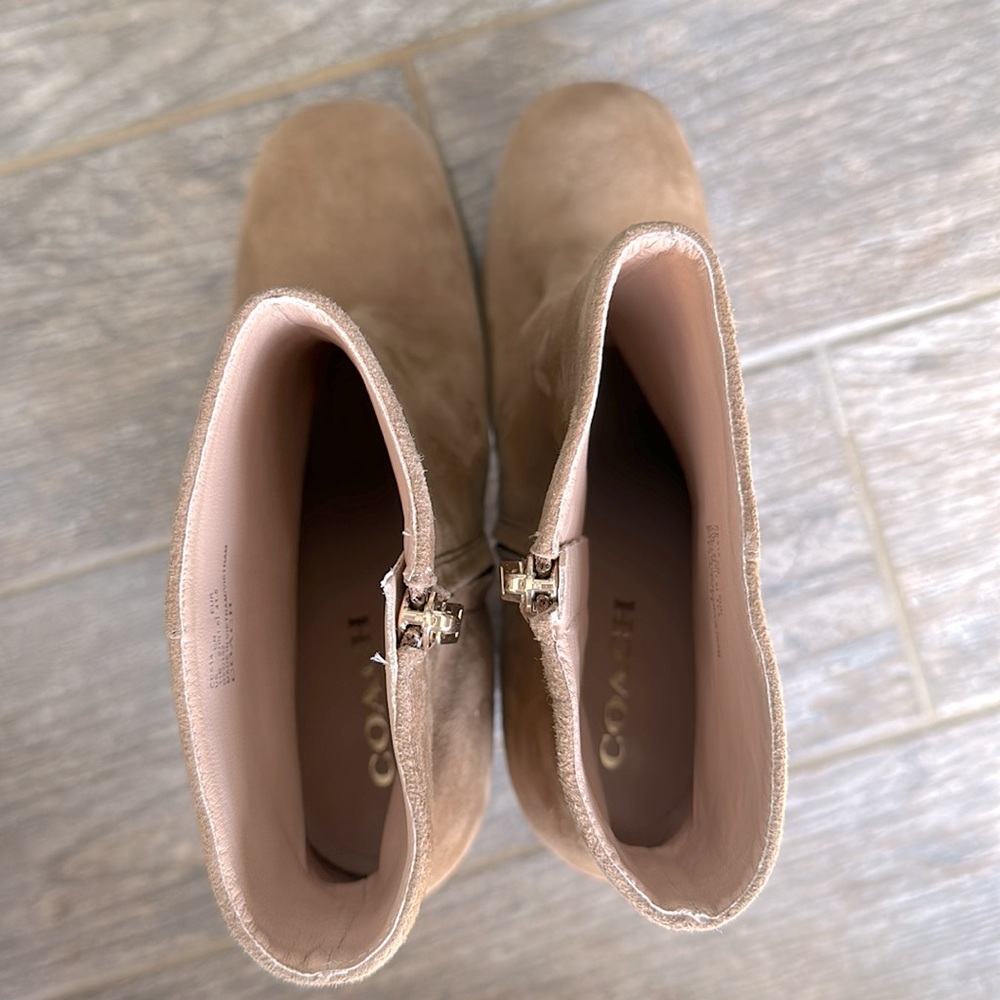 Coach Iona suede booties - Picture 4 of 12